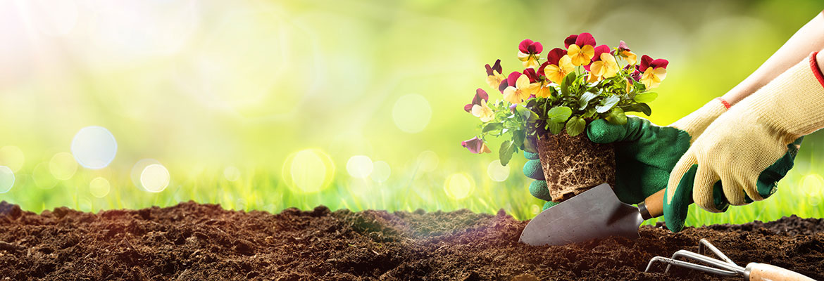 Garten & Outdoor 2026